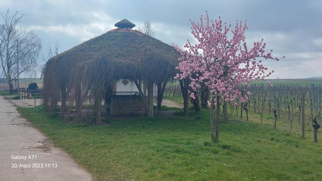 Ferienwohnung Zum Weinberg Гроскарлбах Экстерьер фото