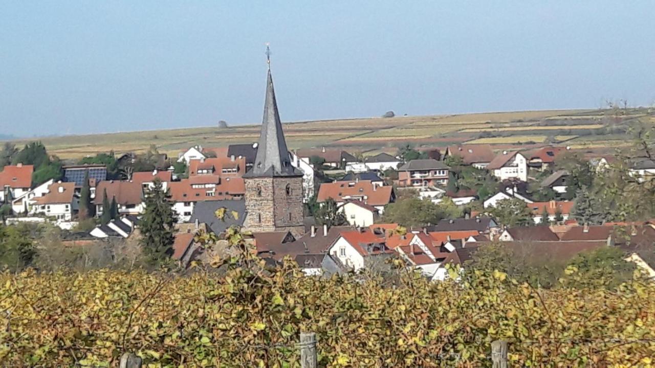 Ferienwohnung Zum Weinberg Гроскарлбах Экстерьер фото